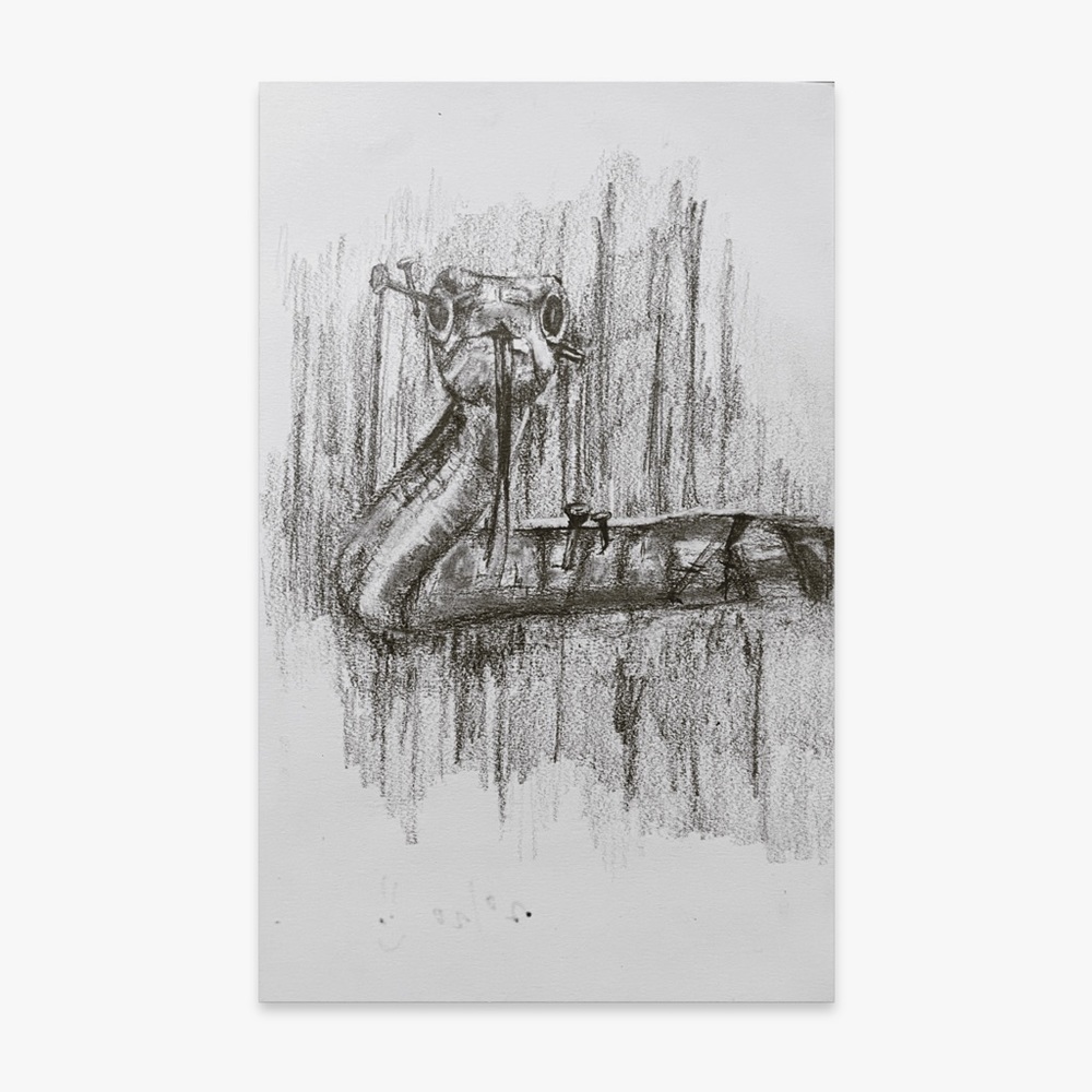 original graphite pencil semi realism snake dark traditional artwork drawing‌